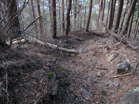 20181214hike (537)